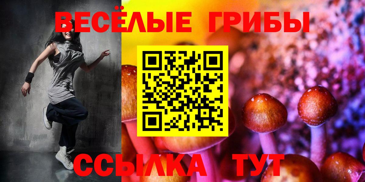 Псилоцибиновые грибы ЛСД  Вход с VPN  Краснодар 
